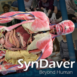 SynDaver Trainers